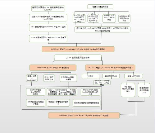 23個可編輯技術(shù)路線圖模板與繪制技巧: 涵蓋國自然9大熱點技術(shù)路線及貨物技術(shù)進出口業(yè)務(wù)指導(dǎo)