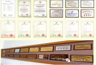 借力中國蔬菜品牌大會，云南蔬菜品牌與企業以大數據服務驅動產業升級